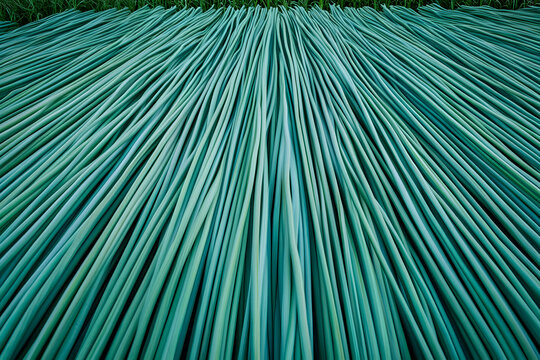 Abstract teal green textured background of many parallel lines radiating outwards, ideal for design and pattern use.