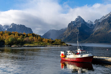 Fall foliage and view over Raftsundet waters with red fishing boat near Digermulen, Norway and...