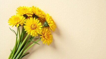 A cheerful bouquet of vibrant yellow wildflowers arranged on a soft, pale background, suggesting springtime freshness and natural beauty