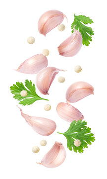 set of garlic with parsley leaf isolated on white background.	