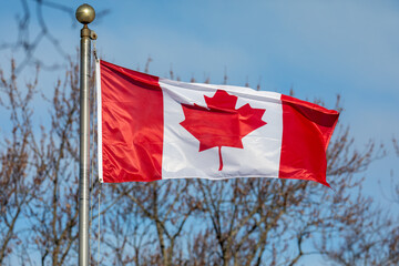 Canadian Flag