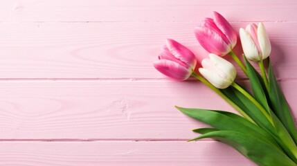 Fototapeta premium Pink tulips arranged on a pale pink wooden surface create a delicate and lovely springtime scene, perfect for cards, websites, or other projects requiring a touch of floral elegance.