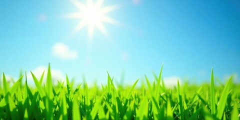 Fototapeta premium Vibrant Green Grass Blades Under a Sunny Sky, a Close-Up View of Nature's Beauty and Serenity