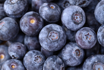 Blueberries background, Healthy fruit, Food ingredient