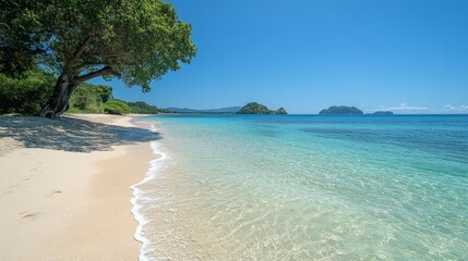 Secluded Tropical Paradise: Tranquil Beach Scene with Turquoise Waters and Lush Greenery under a clear blue sky