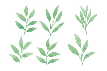 Assortment of watercolor leaves illustration set - green leaf branches collection for wedding, greetings, stationary, wallpapers, fashion, background. olive, green leaves, Eucalyptus etc