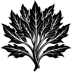 black and white Water Spinach