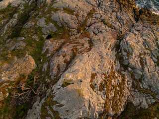 Rocky Terrain of Vancouver Island's West Coast Landscape at Sunrise