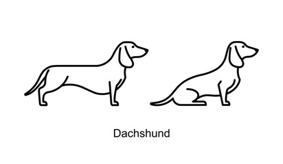 Dachshund, icon set. Dog different poses - standing and sitting. Linear illustration, editable strokes