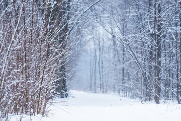Zimowy krajobraz, Goczałkowice zdrój, Śląsk. 