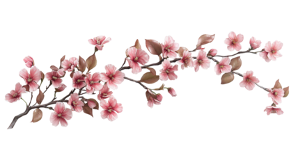Pink blooming branch with flowers isolated on a transparent background, png image, cut out