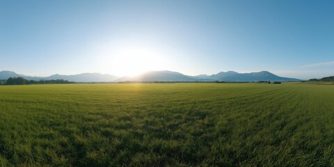 Obraz premium A wide green field under a clear sky with the sun rising over distant mountains, creating a serene atmosphere.