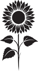 Isolated black flower icon Vector, black flower Silhouette,black flower icon set, black flower for logo,color black flower Vector illustration, Vector Graphic, EPS 10 , clip art work