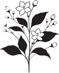 Isolated black flower icon Vector, black flower Silhouette,black flower icon set, black flower for logo,color black flower Vector illustration, Vector Graphic, EPS 10 , clip art work