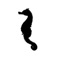seahorse silhouette - vector illustration