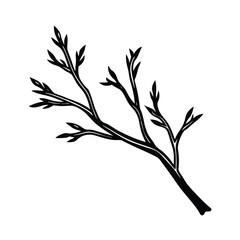 Naklejka premium branch with leaves