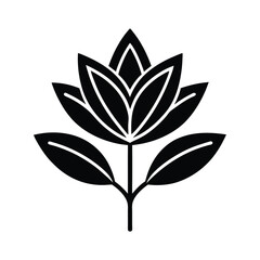 illustration of a leaf