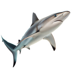 Fototapeta premium Blacknose Shark AI Generated Image