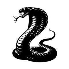 Fototapeta premium King Cobra black Silhouette the white background