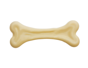 dog bone isolated on white