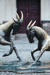 Vertical shot of two goat sculptures on the Plac Kolegiacki square