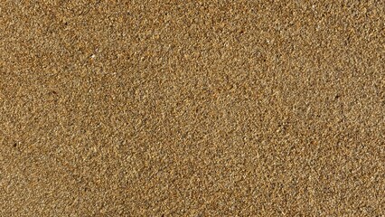 Textura arena de playa