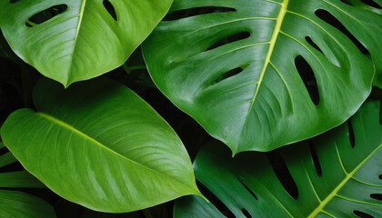 Abstract tropical leaves pattern in shades of green with depth