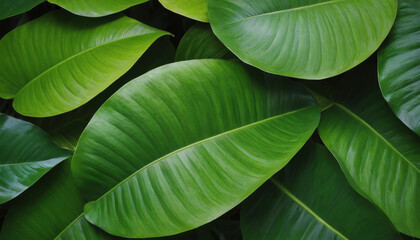 Obraz premium Abstract tropical leaves pattern in shades of green with depth
