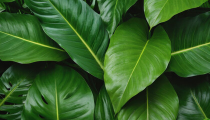 Abstract tropical leaves pattern in shades of green with depth