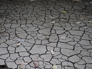 The land is parched due to water shortages. Dry cracked area. Global warming (Climate change) causes natural water shortages and drought. Landscape dried and cracked background. dry land
