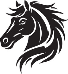 black and white horse