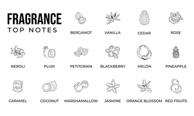 Vector set line icon aromatic notes perfume