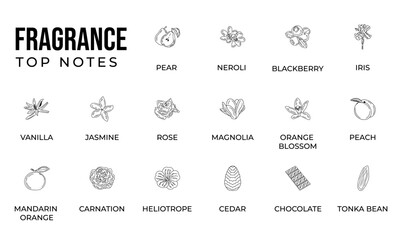 Vector set line icon aromatic notes perfume