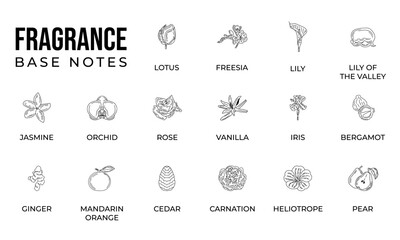 Vector set line icon aromatic notes perfume