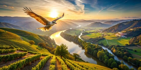 Obraz premium Panoramic View of Douro River Tern in Flight over Portugal's Vineyards