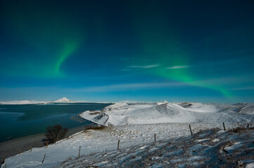 Aurora Borealis or Northern lights the amazing wonder of nature in the dramatic skies of Iceland. Night landscape with the green light and the white snow of winter