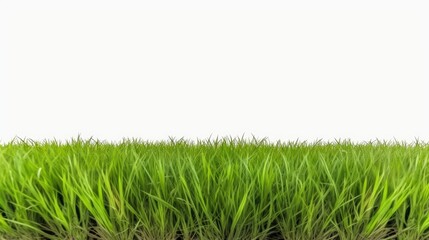 Obraz premium Lush Green Grass Field Isolated on White Background Perfect for Nature-Themed Designs and Backgrounds Providing a Fresh and Clean Aesthetic