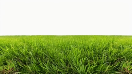 Fototapeta premium Vibrant Isolated Green Grass Field Against a Clear White Background Perfect for Nature and Agriculture Themes