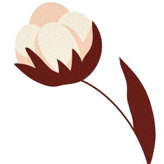 Cotton. A white cotton box. Cotton wool. The ripe fruit of a cotton plant. Vector illustration isolated on a white background.