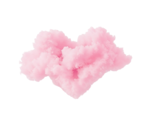 pink rose petals isolated on white