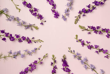 Frame of delphinium flowers on pink background. Flat lay, top view. Copy space