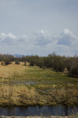 Spring flood, the river, the last snow, the last warm days. Beautiful natural background.