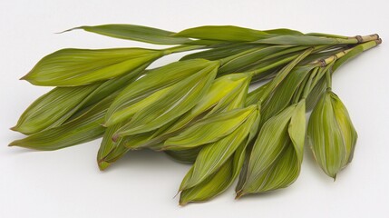 leaves in a calm, flowing arrangement, isolated on a plain background to convey simplicity and elegance. Bamboo leaves 