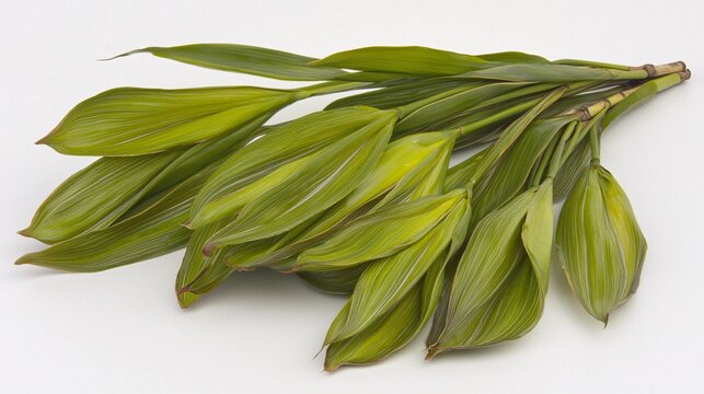leaves in a calm, flowing arrangement, isolated on a plain background to convey simplicity and elegance. Bamboo leaves 