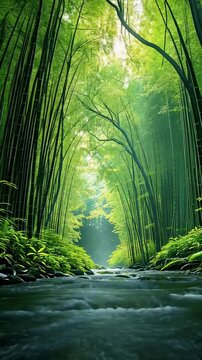 绿意竹林溪流林荫舒适树荫小河流水竖屏