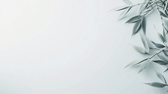set of bamboo leaves arranged in an orderly, yet elegant fashion on a clean white surface, creating a sense of balance. Bamboo leaves 