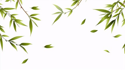 Naklejka premium illustration of bamboo leaves scattered across a white background, exuding simplicity and elegance. Bamboo leaves.isolate on white background.Illustrations 