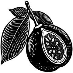 Guava Silhouette Vector Illustration Minimalist Tropical Fruit Design