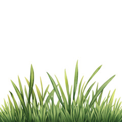 Fototapeta premium Lush green grass with vibrant natural texture. PNG