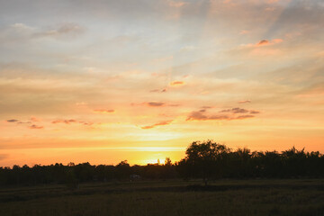 Evening sunset and shadows of trees